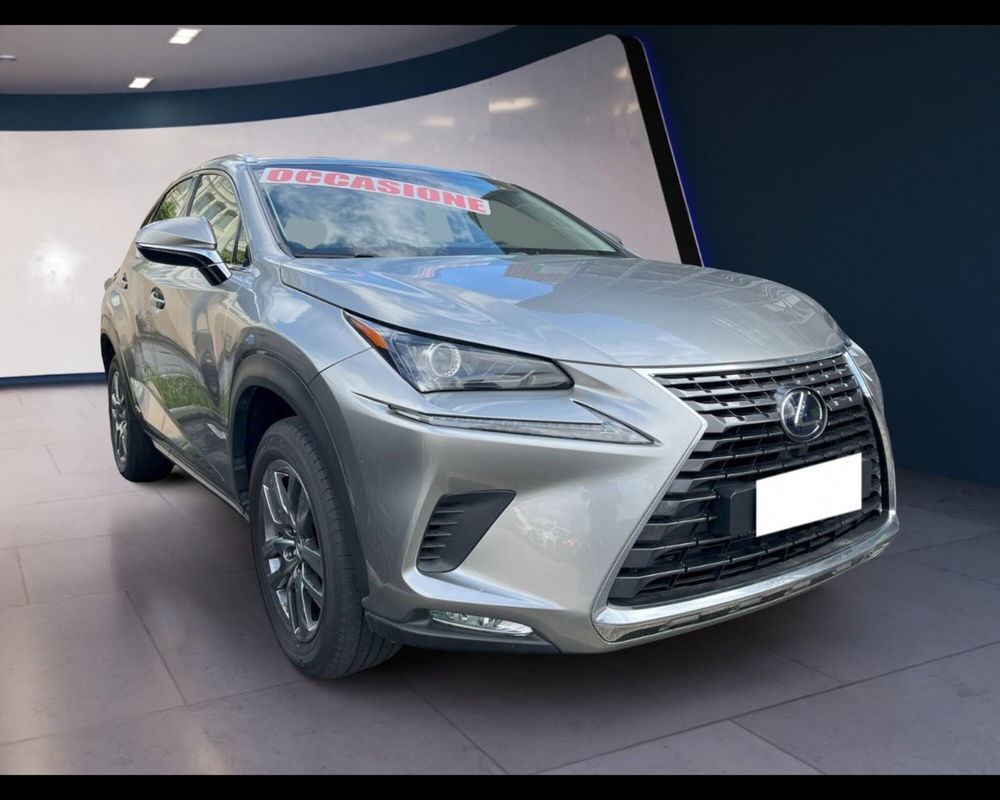 Lexus NX usata a Torino (5)