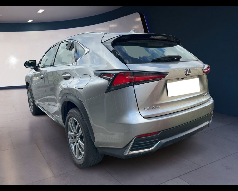 Lexus NX usata a Torino (7)