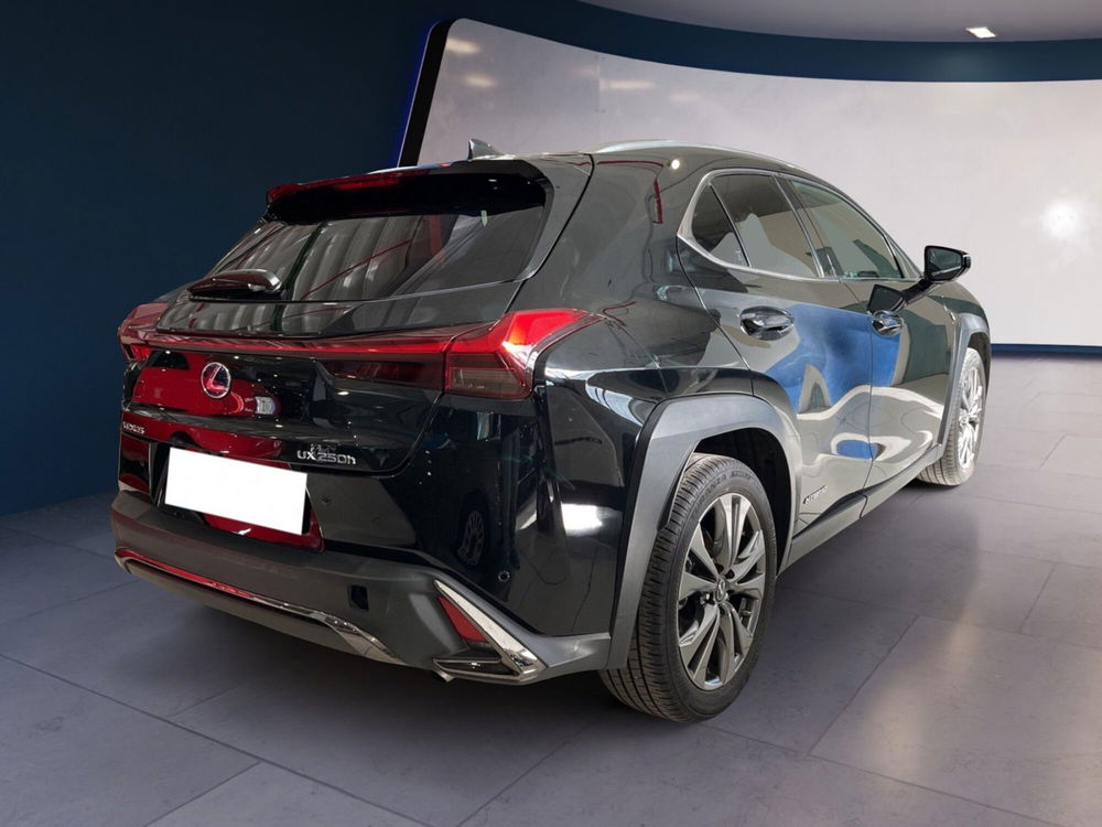 Lexus UX usata a Torino (6)