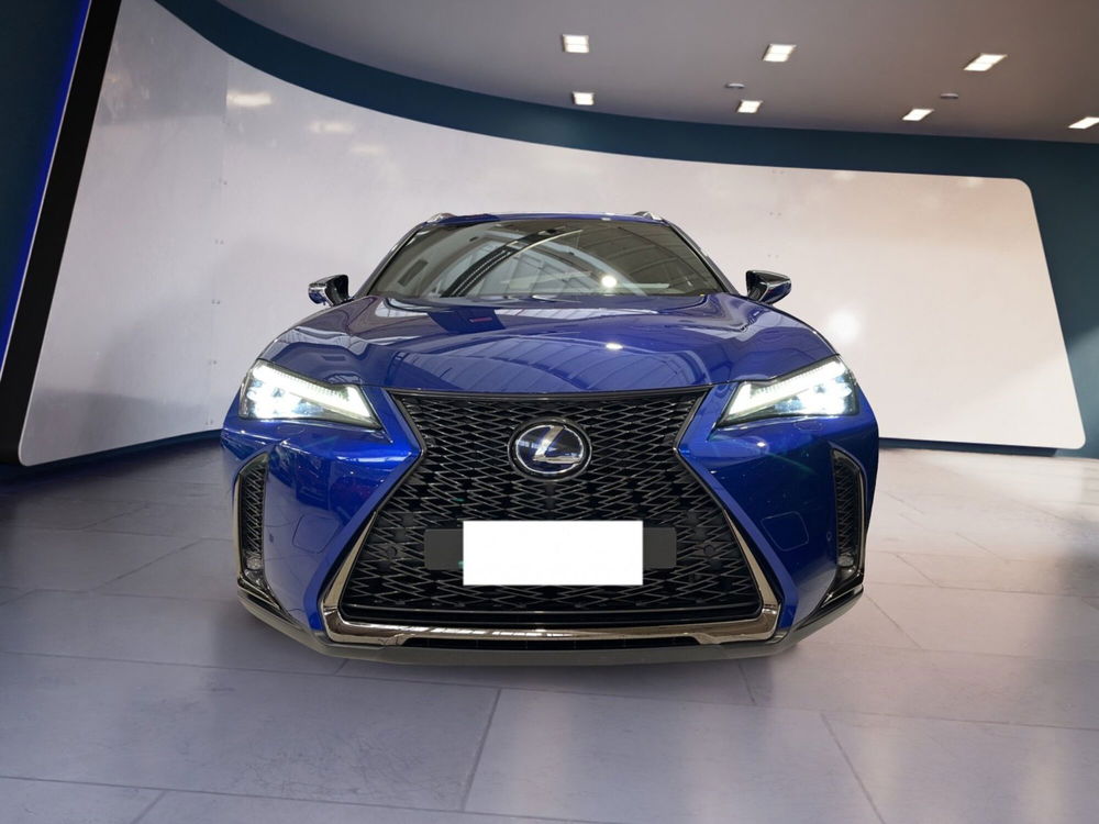 Lexus UX usata a Torino