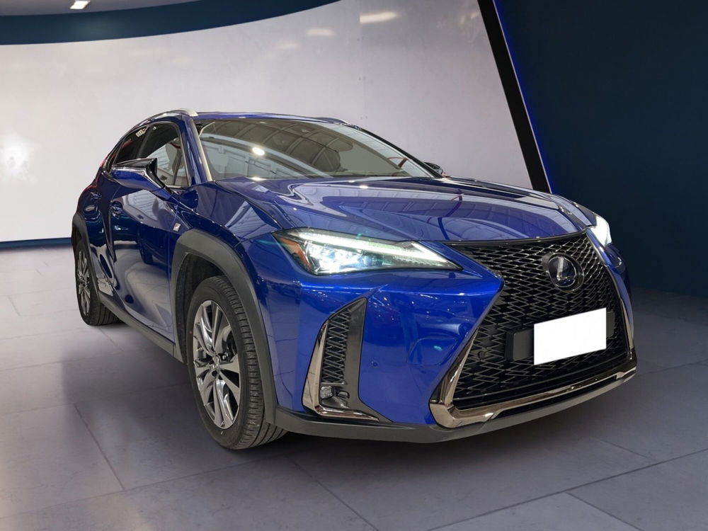 Lexus UX usata a Torino (2)