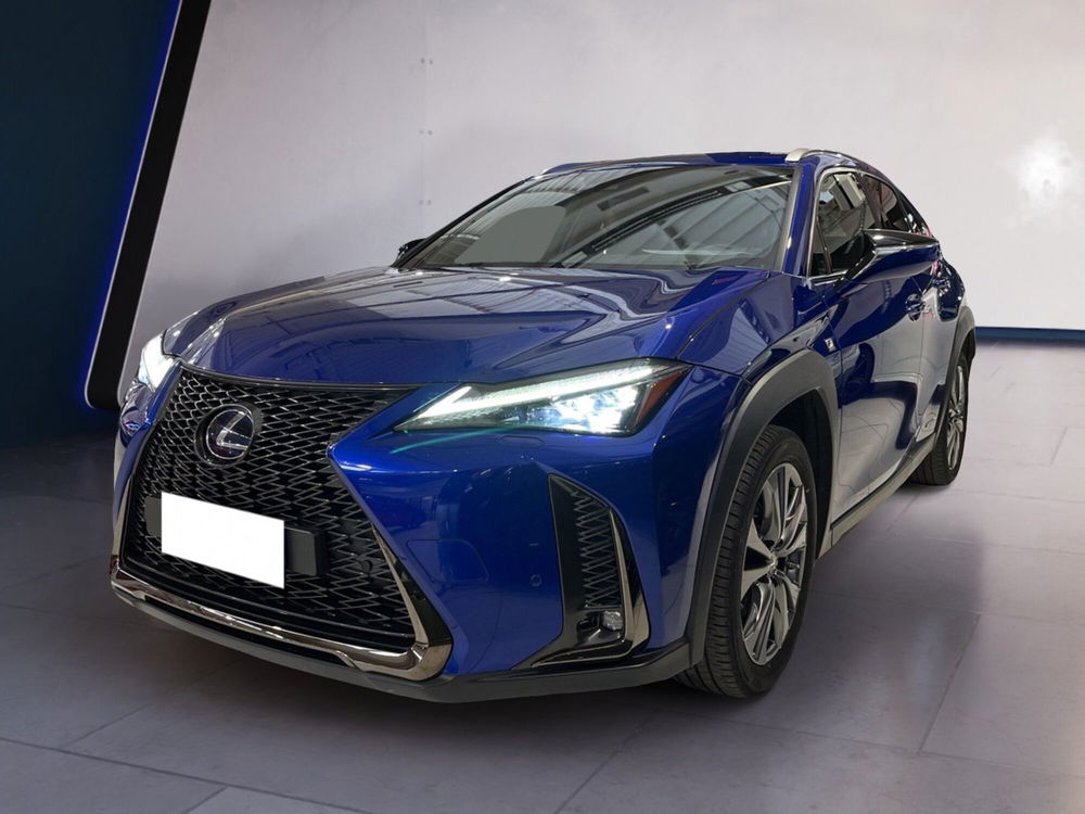 Lexus UX usata a Torino (3)