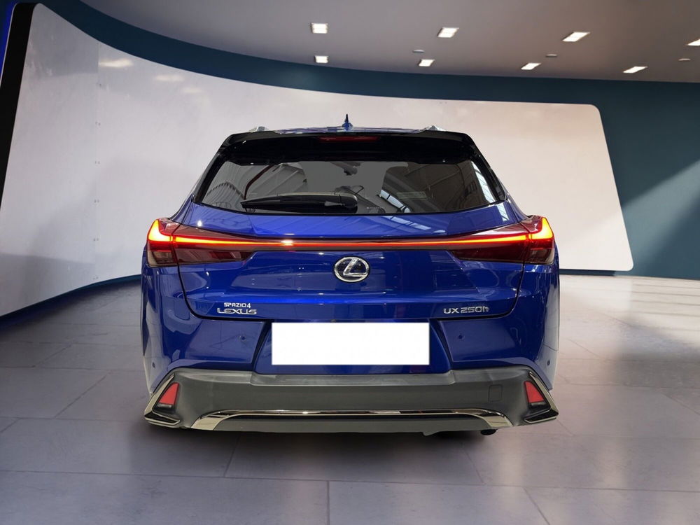 Lexus UX usata a Torino (5)