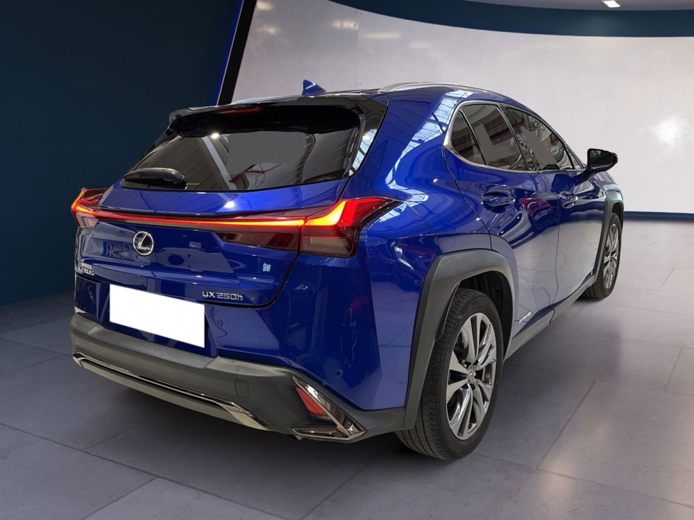 Lexus UX usata a Torino (6)