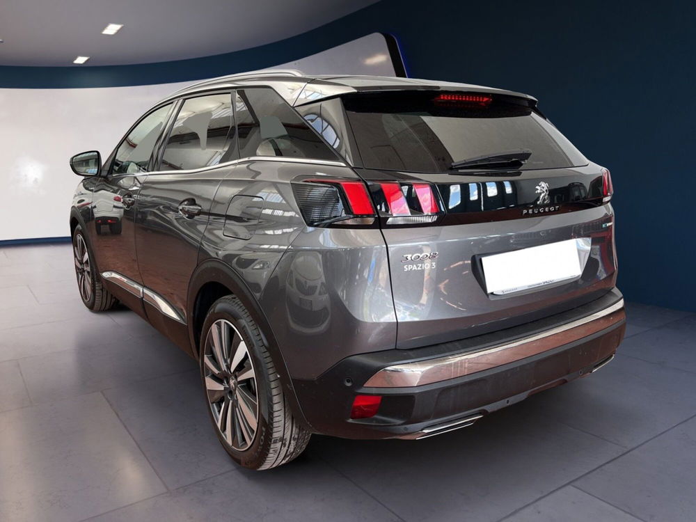 Peugeot 3008 usata a Torino (4)