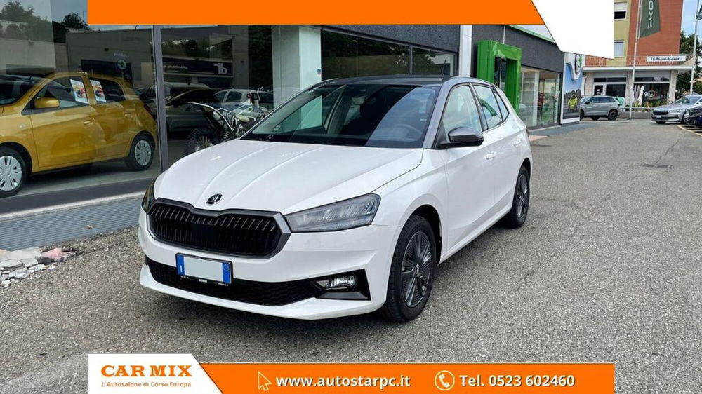 Skoda Fabia usata a Piacenza