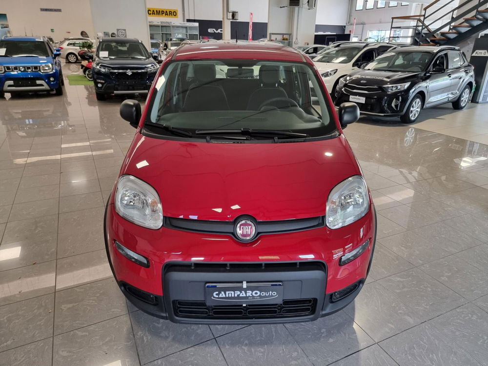 Fiat Panda nuova a Alessandria