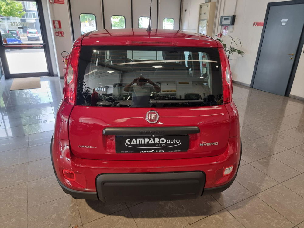 Fiat Panda nuova a Alessandria (12)