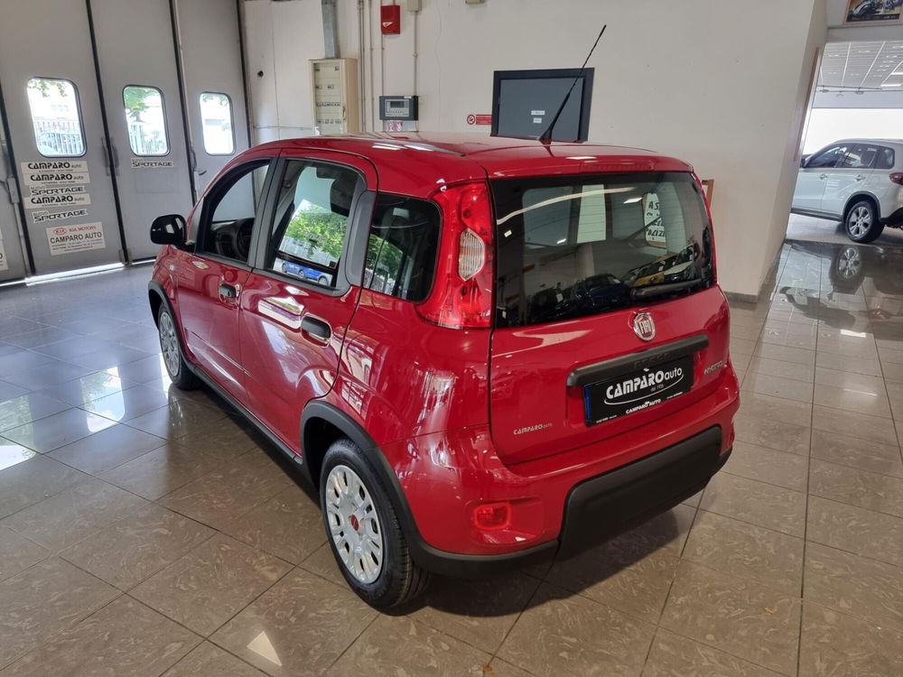 Fiat Panda nuova a Alessandria (13)