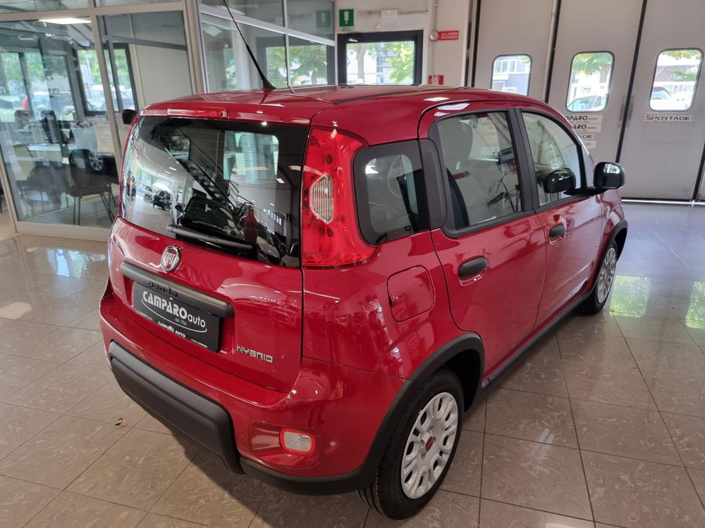 Fiat Panda nuova a Alessandria (14)