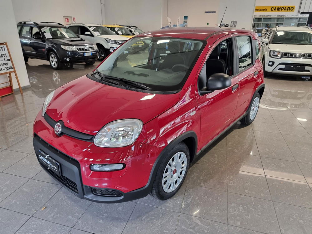 Fiat Panda nuova a Alessandria (2)