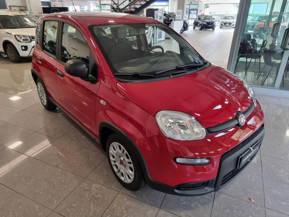 Fiat Panda nuova a Alessandria (3)