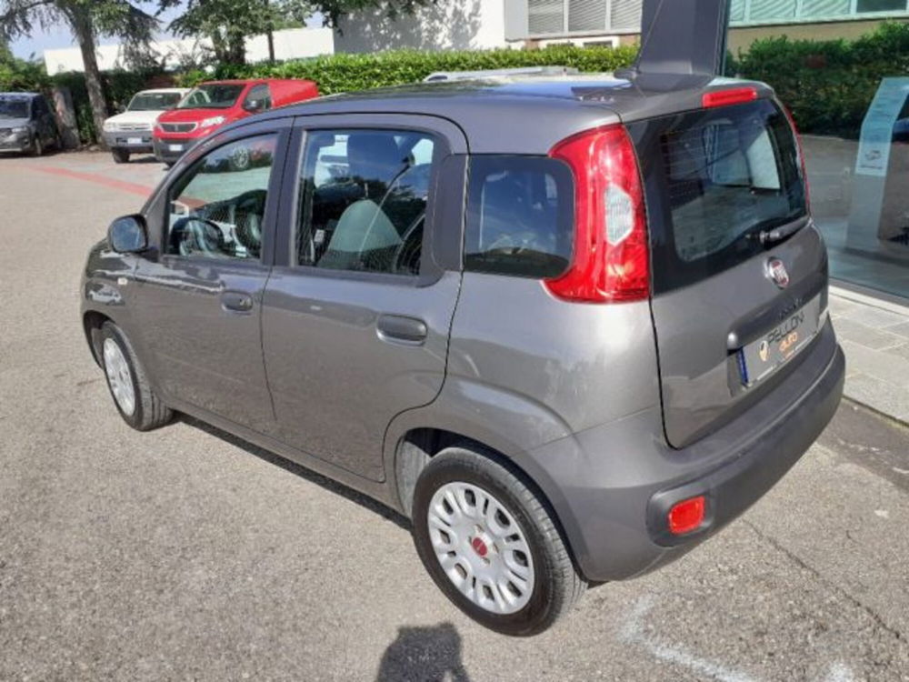 Fiat Panda usata a Modena (7)