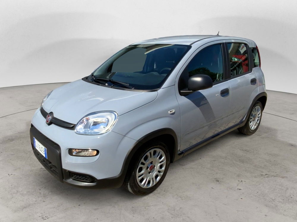 Fiat Panda usata a Perugia