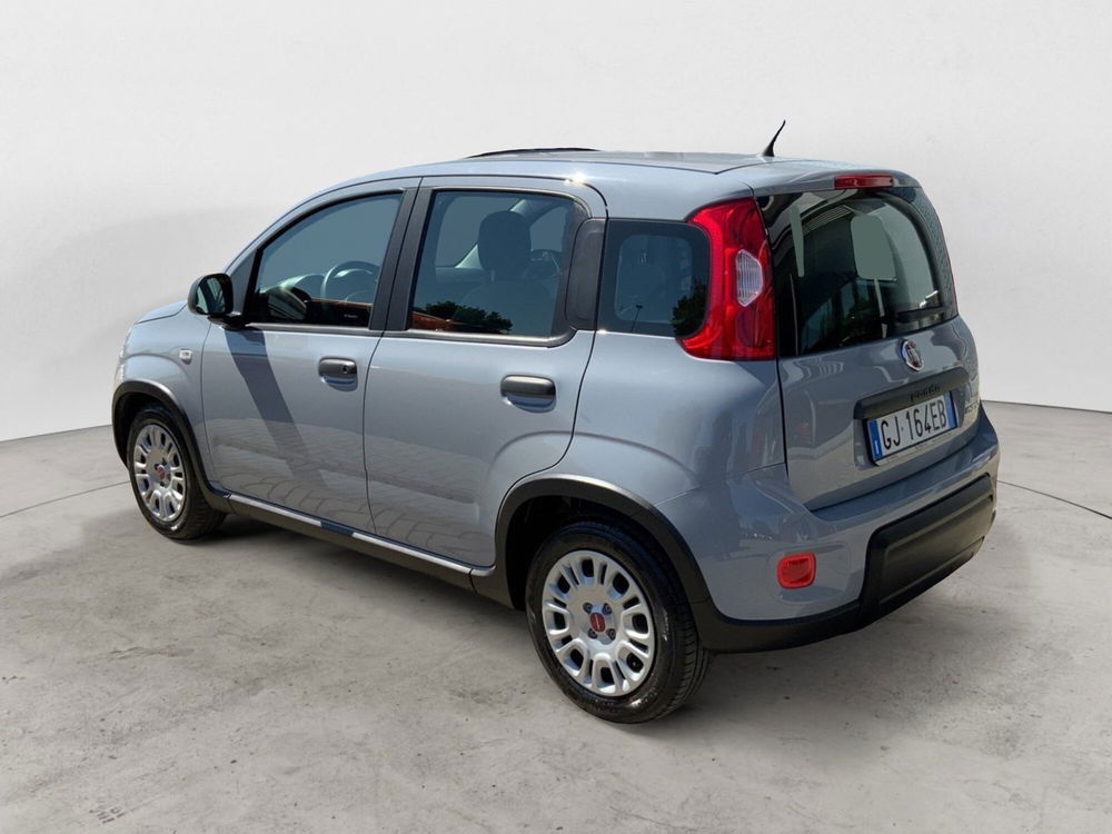 Fiat Panda Cross usata a Perugia (16)