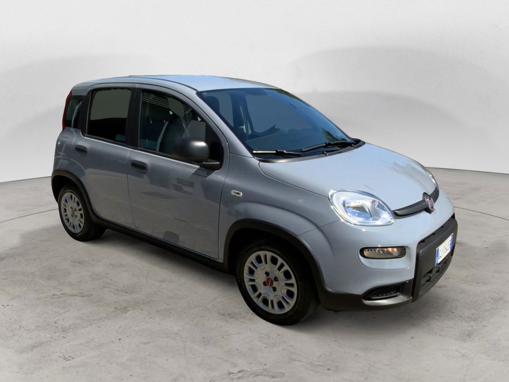 Fiat Panda Cross usata a Perugia (5)