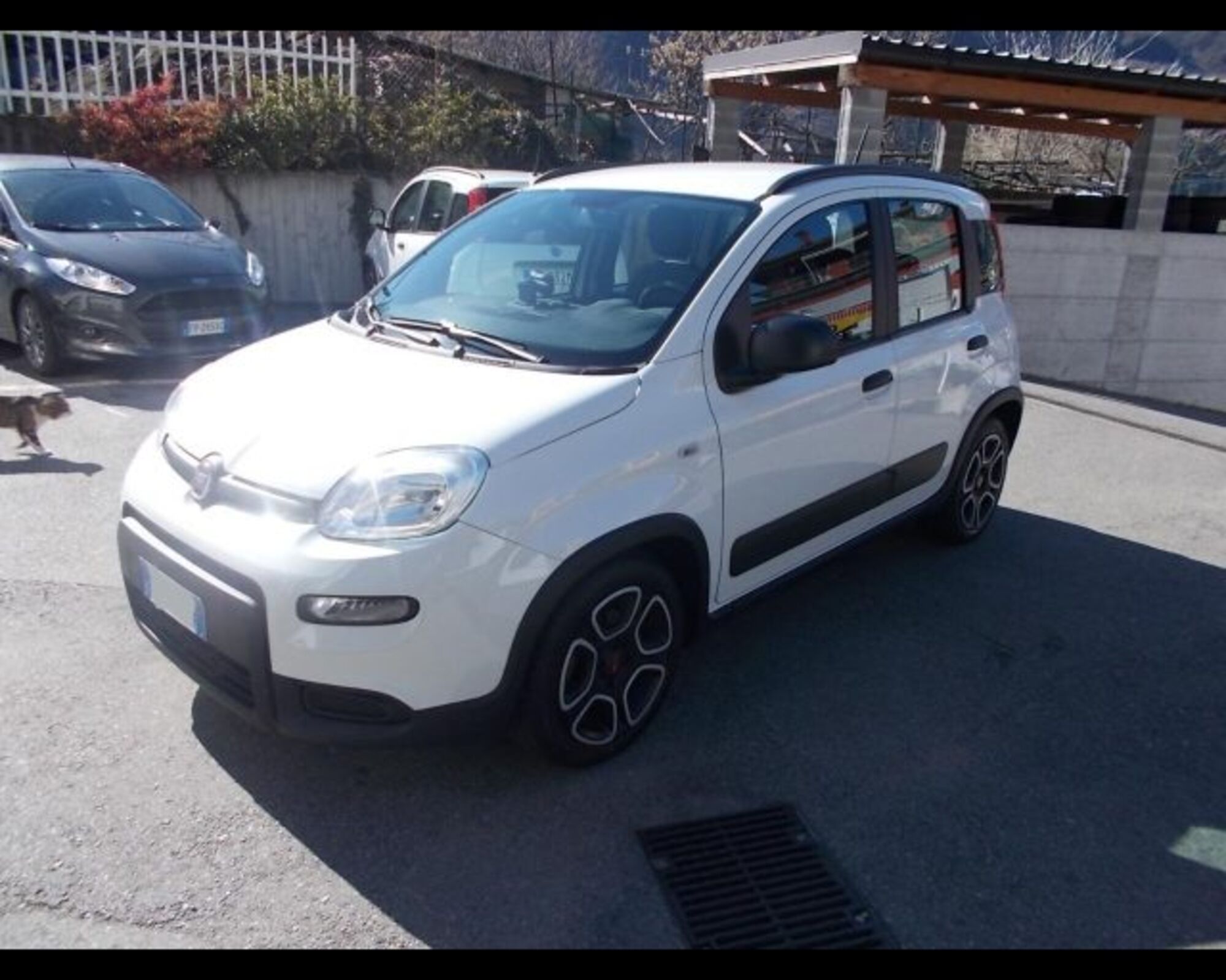 Fiat Panda 1.0 firefly hybrid s&amp;s 70cv del 2022 usata a Pont Saint Martin