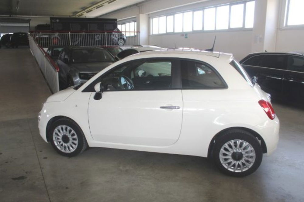 Fiat 500 usata a Terni (2)