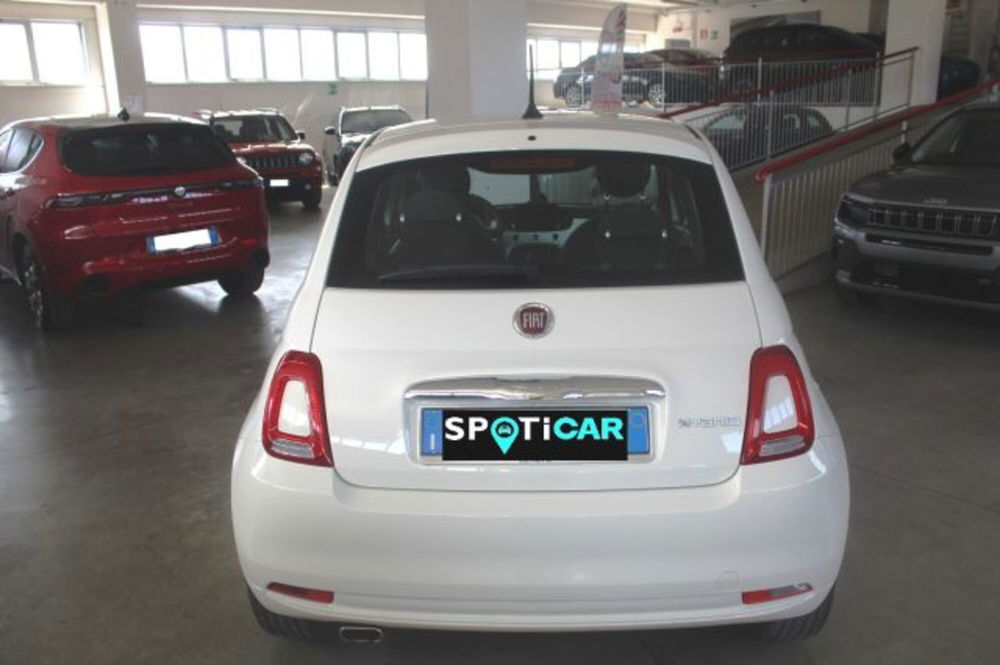 Fiat 500 usata a Terni (4)