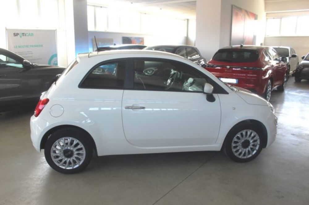 Fiat 500 usata a Terni (5)