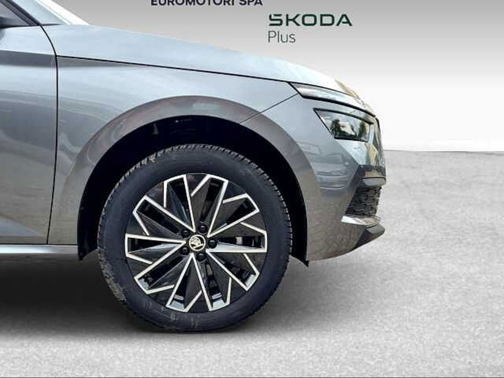 Skoda Kamiq usata a Grosseto (15)