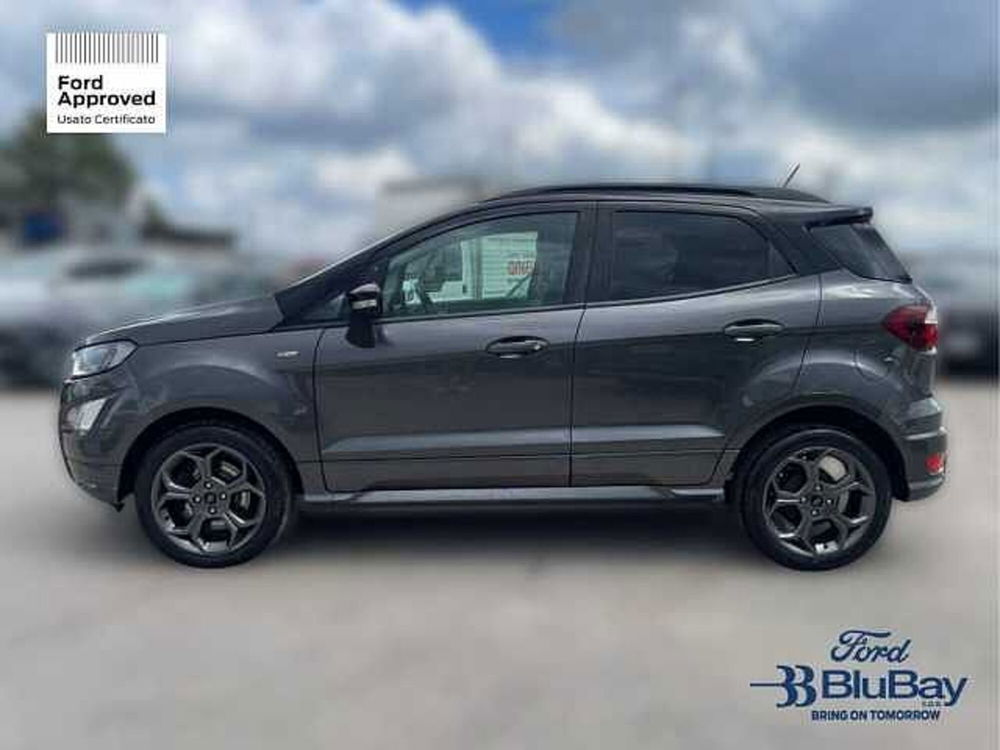 Ford EcoSport usata a Livorno (12)