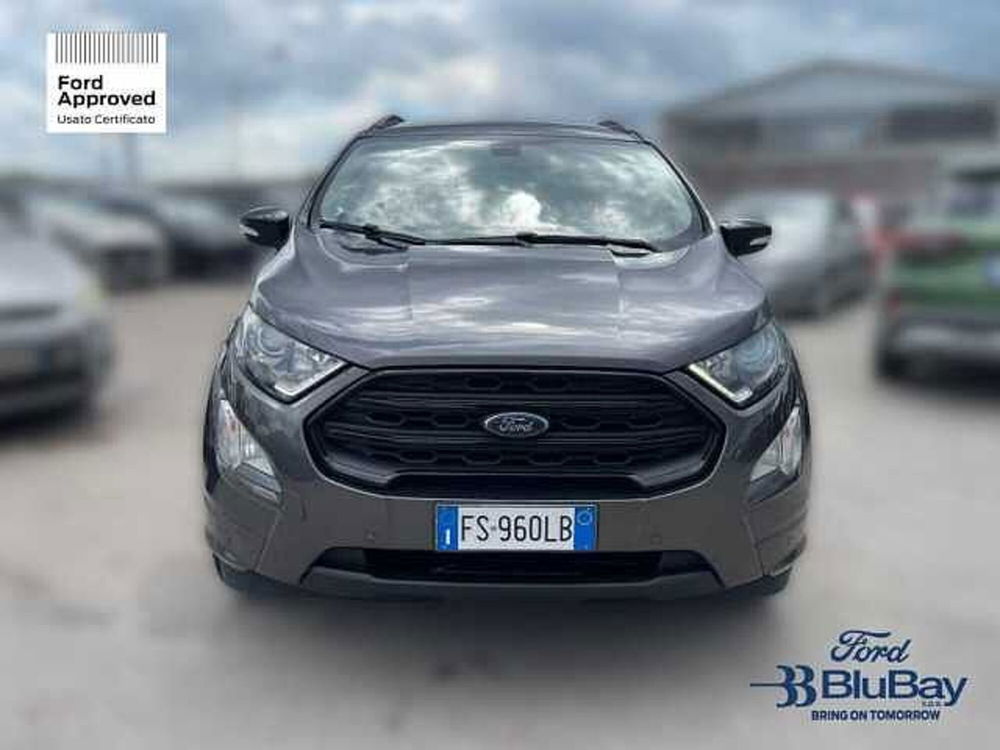 Ford EcoSport usata a Livorno (2)