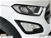 Ford EcoSport 1.0 EcoBoost 125 CV Start&Stop Active del 2021 usata a Albano Laziale (13)