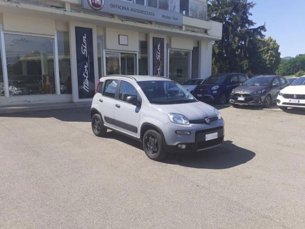 Fiat Panda usata a Firenze (2)