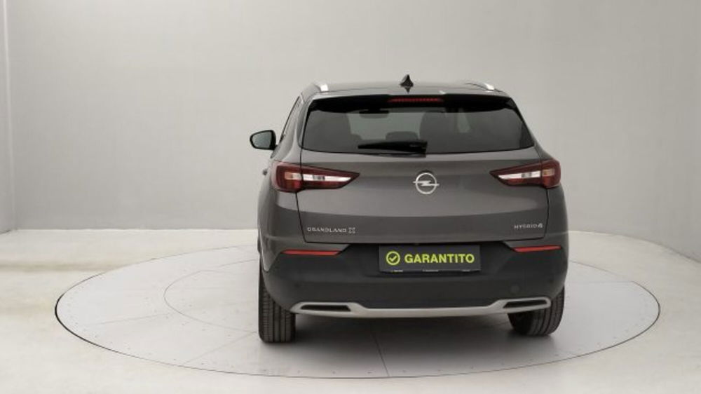 Opel Grandland X usata a Torino (4)