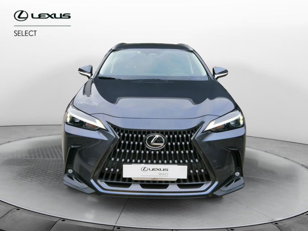 Lexus NX usata a Como (3)