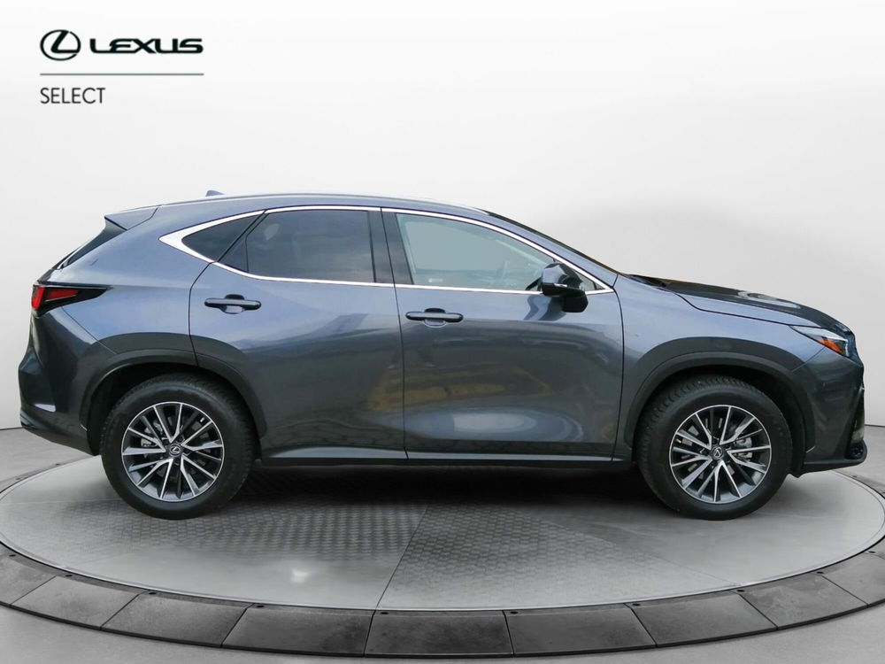 Lexus NX usata a Como (5)