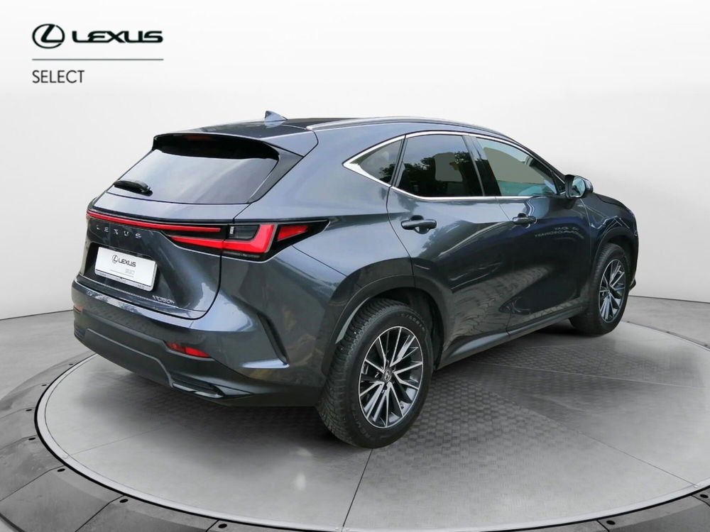 Lexus NX usata a Como (6)