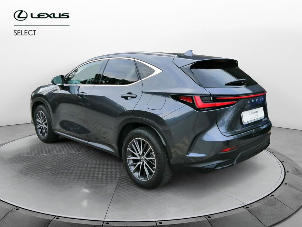 Lexus NX usata a Como (8)