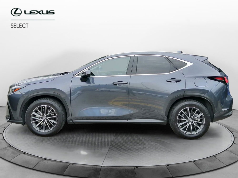 Lexus NX usata a Como (9)