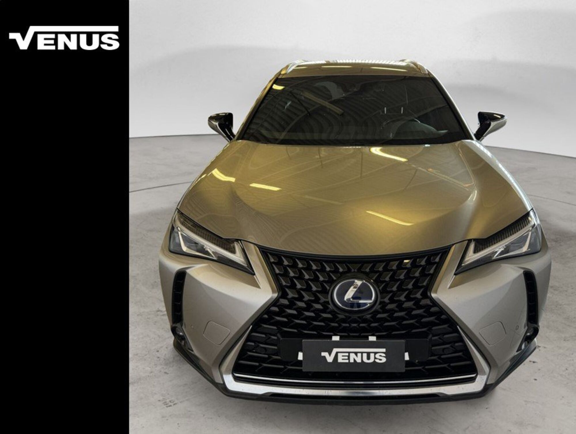 Lexus UX Hybrid 4WD Luxury  del 2021 usata a Monza