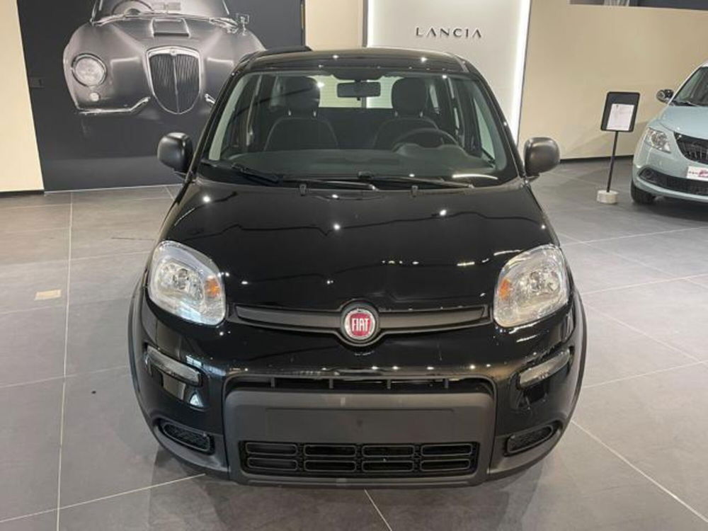 Fiat Panda nuova a Aosta (2)