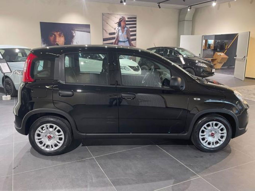 Fiat Panda nuova a Aosta (6)