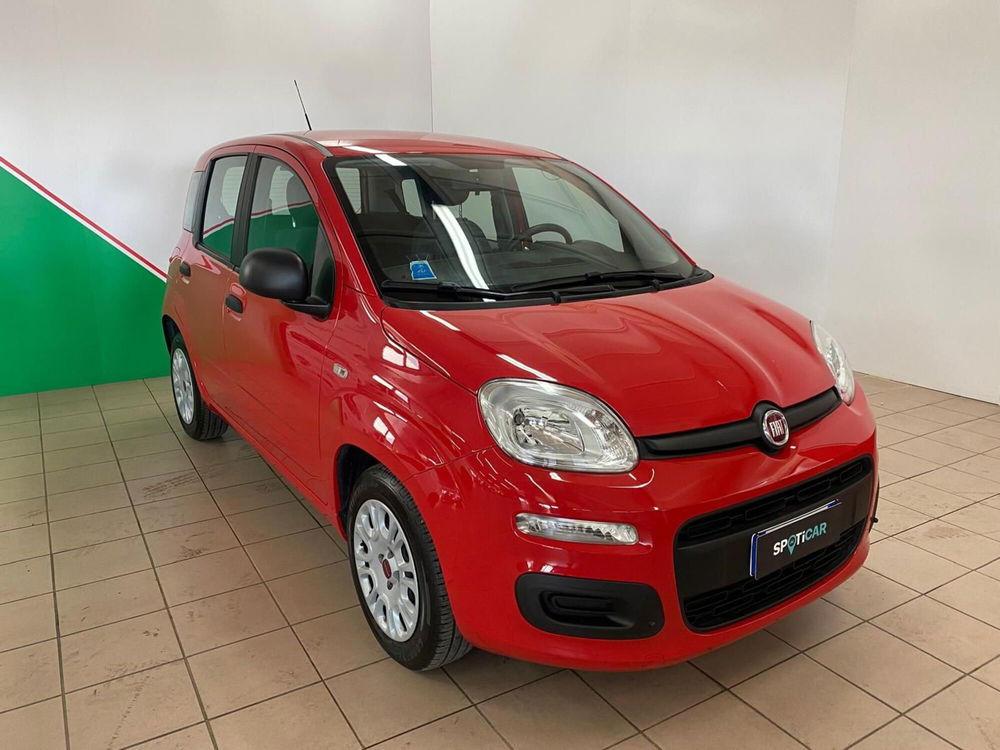 Fiat Panda Cross usata a Arezzo (2)