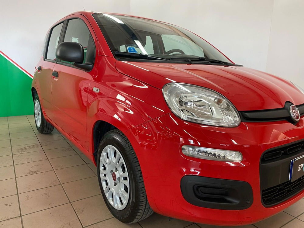 Fiat Panda usata a Arezzo (3)