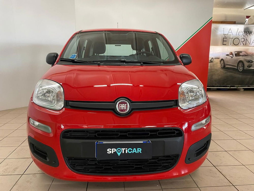 Fiat Panda Cross usata a Arezzo (4)