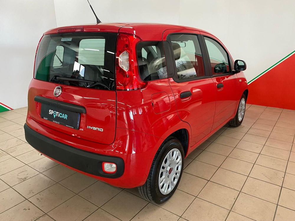 Fiat Panda usata a Arezzo (5)