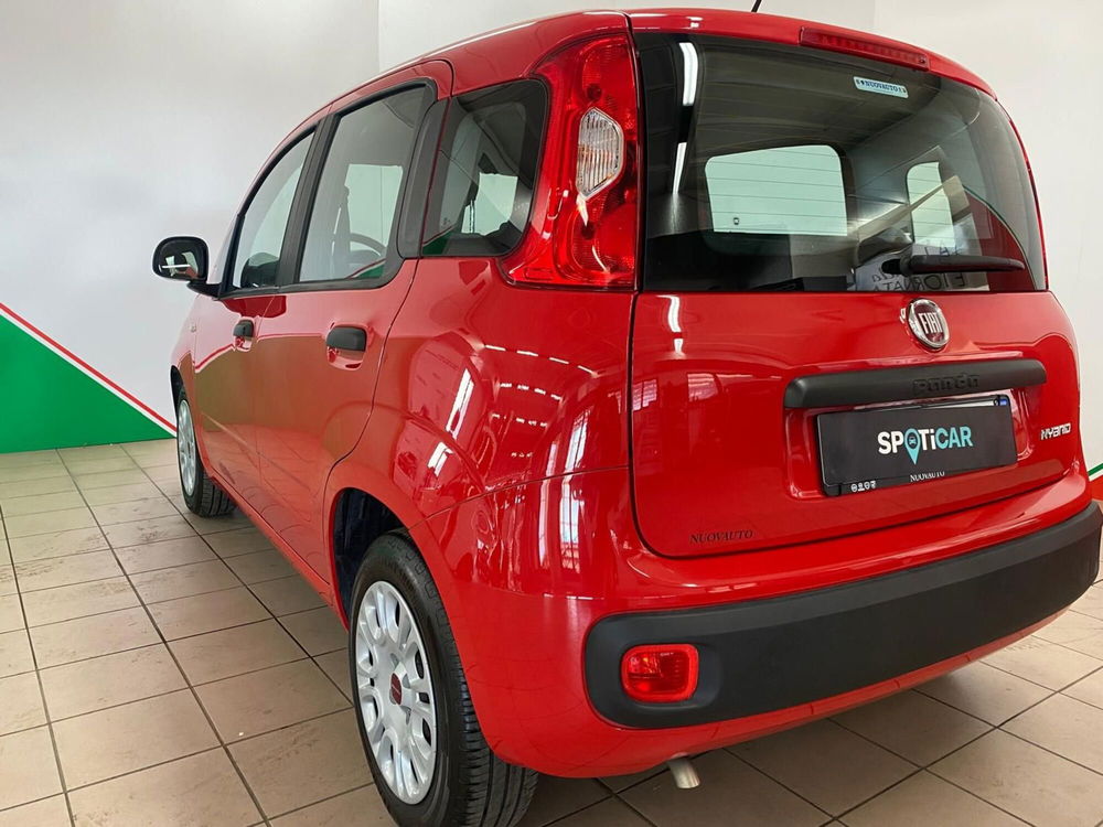 Fiat Panda Cross usata a Arezzo (6)