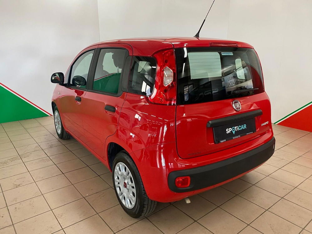 Fiat Panda Cross usata a Arezzo (7)