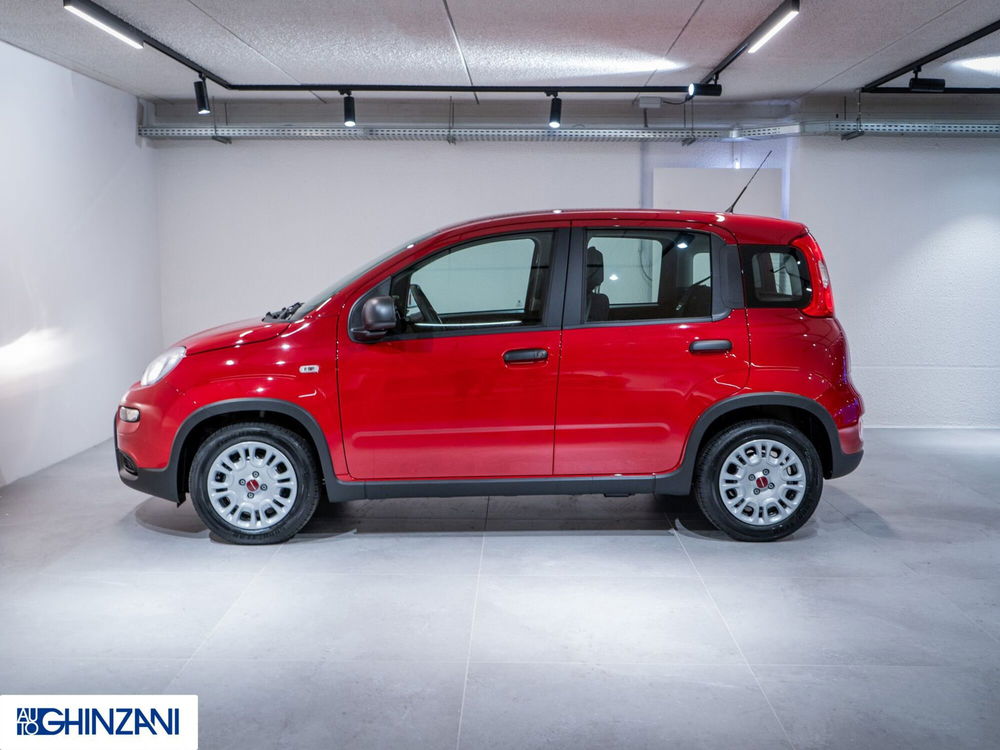 Fiat Panda nuova a Bergamo (4)