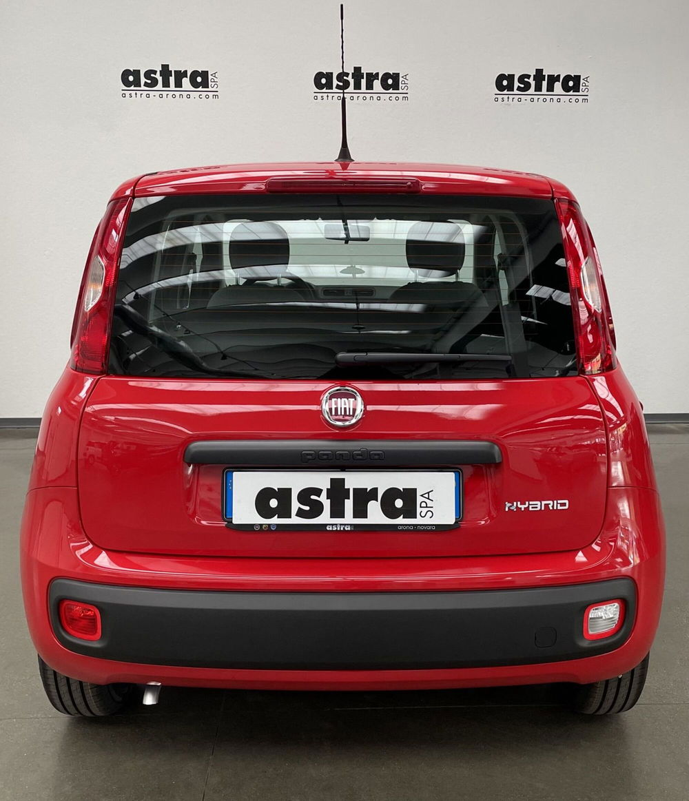 Fiat Panda Cross nuova a Novara (5)