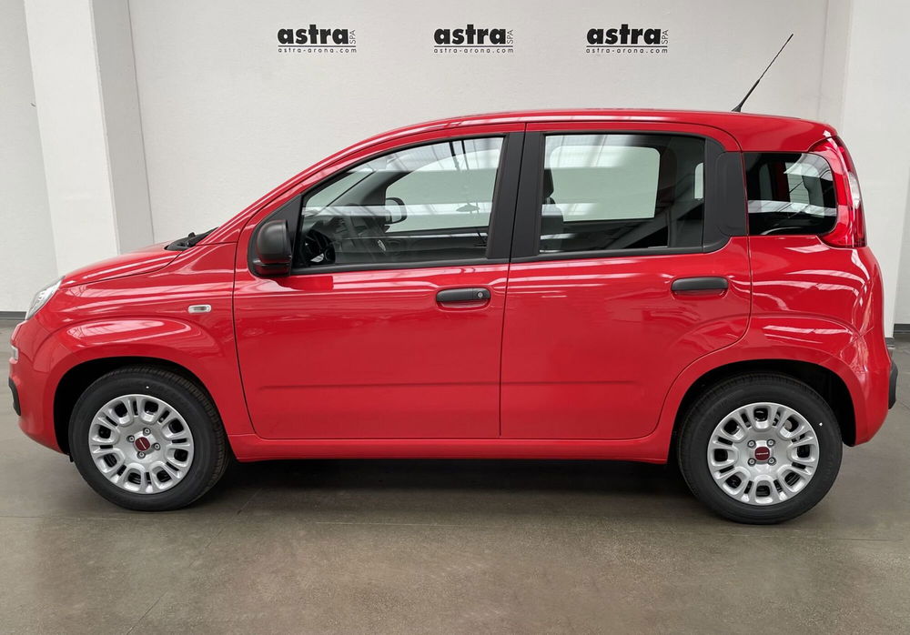 Fiat Panda Cross nuova a Novara (7)