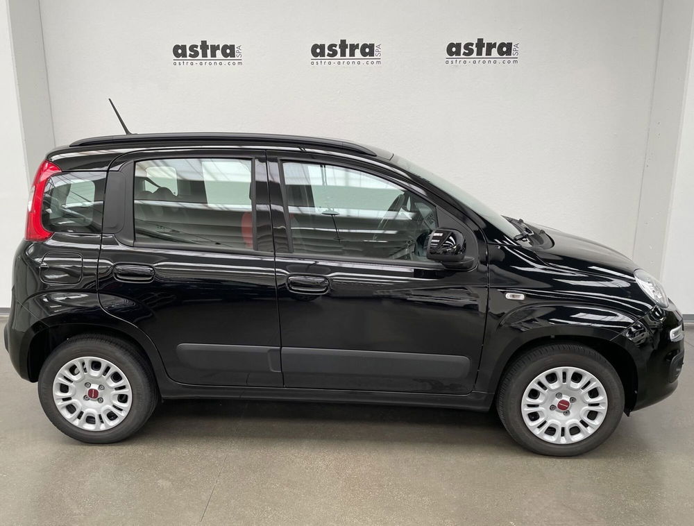 Fiat Panda Cross nuova a Novara (3)