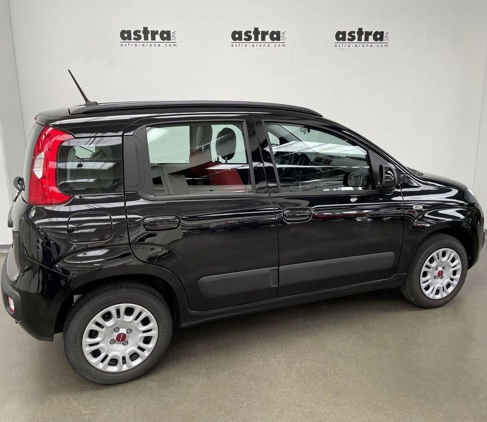 Fiat Panda Cross nuova a Novara (4)