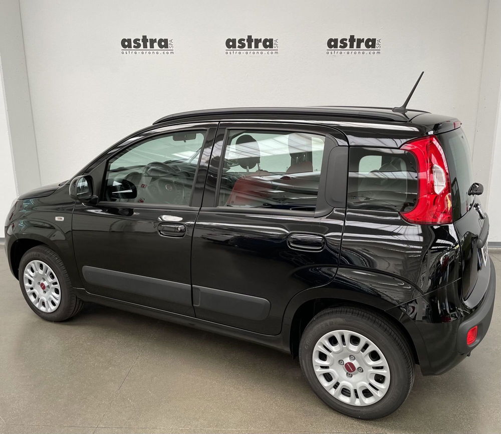 Fiat Panda Cross nuova a Novara (6)